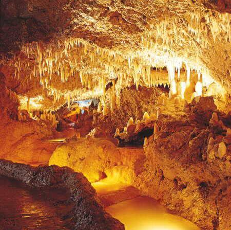 Harrisons Cave Ride on an electric tram into Harrisons Cave tel - photo 3