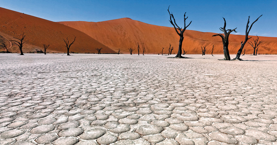 Dry vlei and red dunes Sossusvlei JOHN WANG GETTY IMAGES Okavango Delta - photo 6