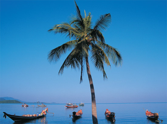 Fishing boats in Bang Rak Bay off the northern coast of Ko Samui A - photo 11