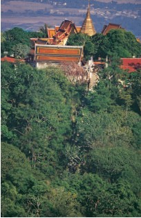 Wat Phrathat Doi Suthep seen from higher up Doi Suthep t HAIS THINK OF - photo 18