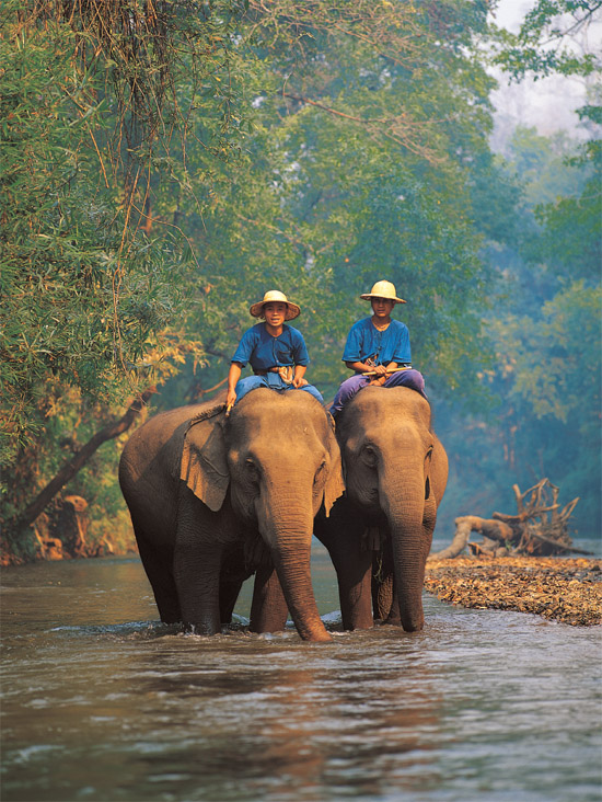 Mahouts riding elephants near Mae Hong Song in northern Thailand In 1767 - photo 10