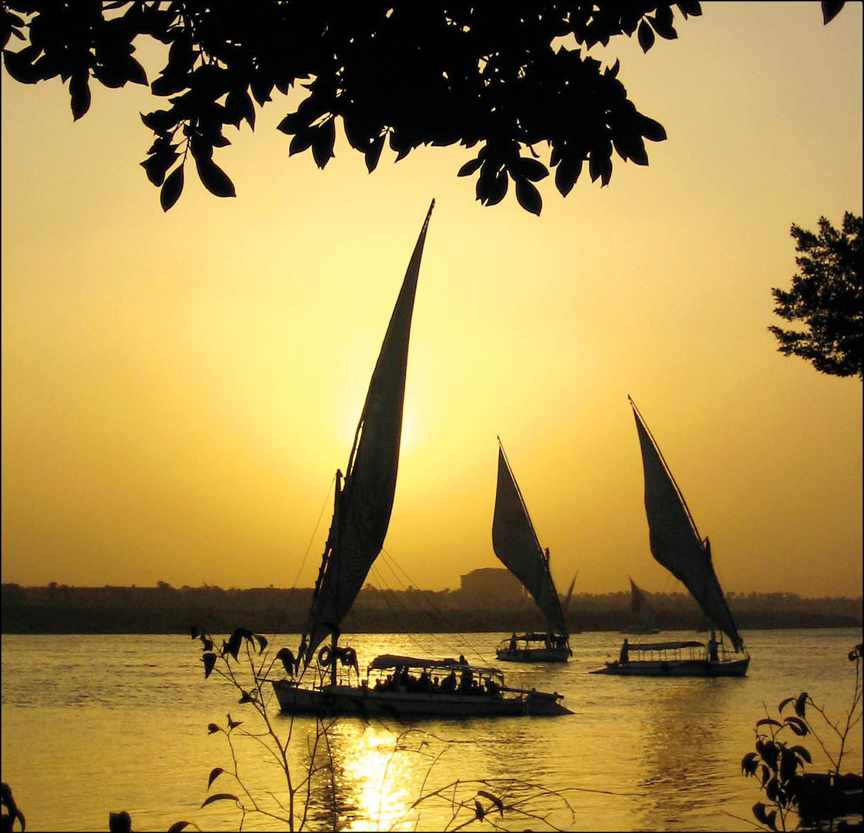 Top Attraction 4 Feluccas The best way to enjoy the Nile For more - photo 6