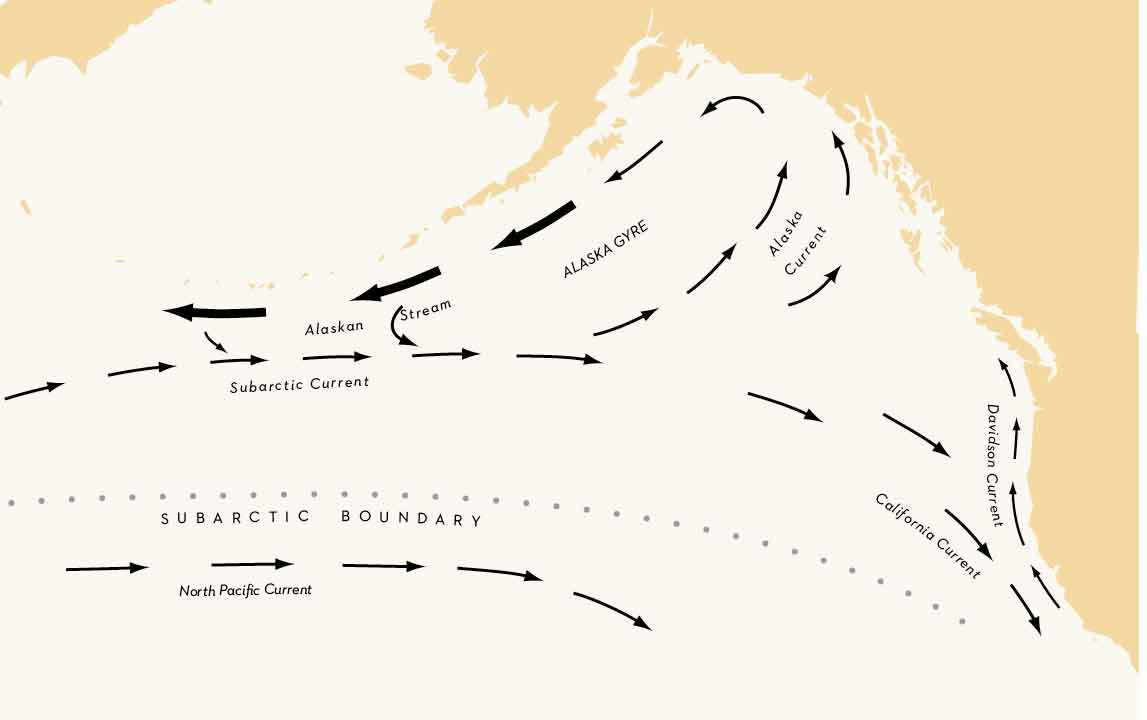 MAP 13 SURFACE CURRENTS Surface currents in the North Pacific Ocean Double - photo 5