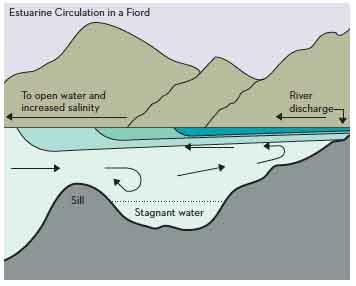 FIGURE 21 Cross-section of an estuary and fiord The fresh river discharge - photo 3