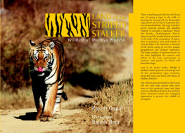 Rajesh Gopal Land of the Striped Stalker. Wildlife of Madhya Pradesh