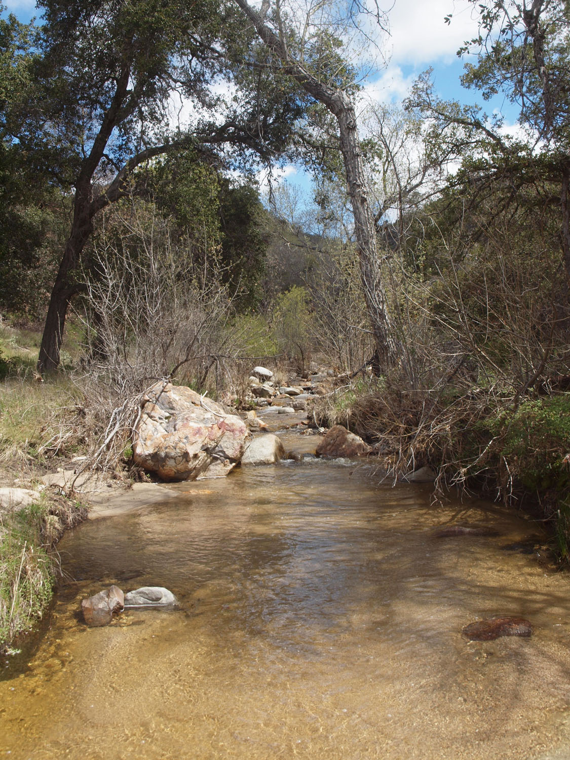 Agua Caliente Creek Recommended Hikes M OST S CENIC B EST FOR W - photo 6