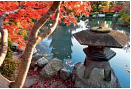 A traditional toro stone lantern stands at the edge of the garden pond with a - photo 11