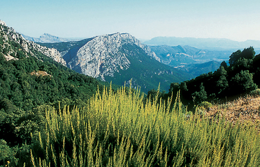 Top Attraction 2 APASylvaine Poitau Supramonte South of Nuoro provides - photo 6