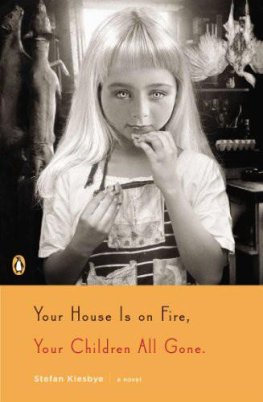 Stefan Kiesbye - Your House Is on Fire, Your Children All Gone