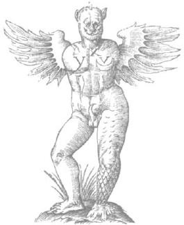 THE MONSTER OF RAVENNA 1512 FROM ULISSE ALDROVANDI 1642 MONSTRORUM HISTORIA - photo 3