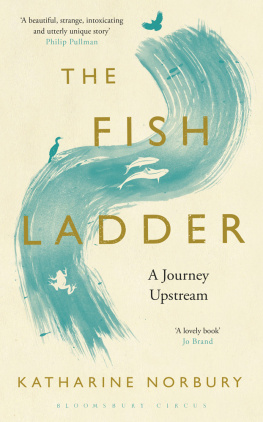 Katharine Norbury - The Fish Ladder. A Journey Upstream