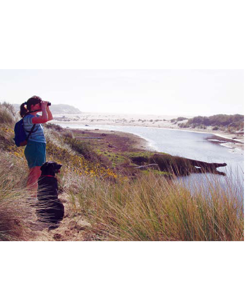 DAY HIKING Oregon Coast Bonnie Henderson - photo 3