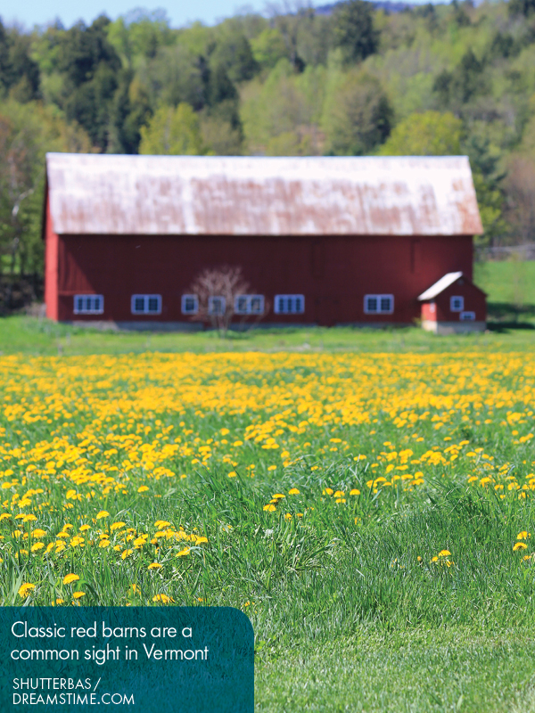 Vermont New Hampshire Inland Maine Maine Coast - photo 11