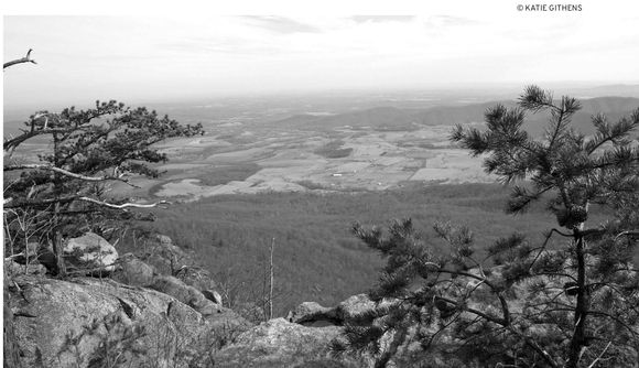 Luray Caverns The Shenandoah has most of the states commercial caverns - photo 6