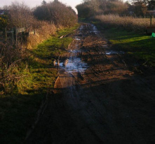 Muddy road Photo by Simon Carey They got out and looked around It wasnt - photo 3