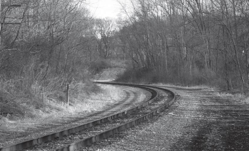 Black Squirrel Books an imprint of The Kent State University Press Kent - photo 2