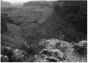 Bob Spangler pushed Donna Spangler over a cliff from this point on Easter - photo 23