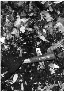 Right-hand work glove and bloody hammer in a storm drain at Morses Pond Court - photo 8