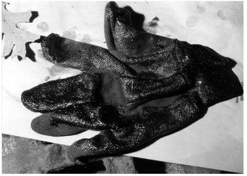 Bloody right-hand work glove found in the storm drain with the murder weapons - photo 10