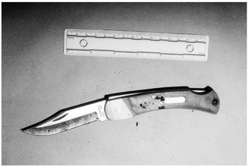 The bloody knife used to slash May Greineders throat Court file photo - photo 12