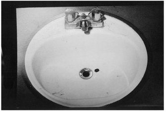 After murdering Rickbeil Shaw washed up in Rickbiels bathroom sink Shaw - photo 11