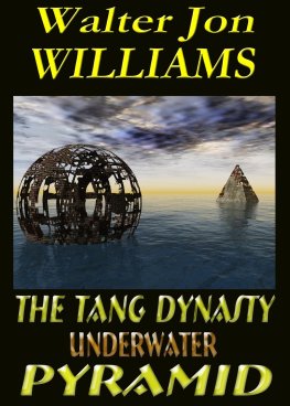 Walter Williams - The Tang Dynasty Underwater Pyramid