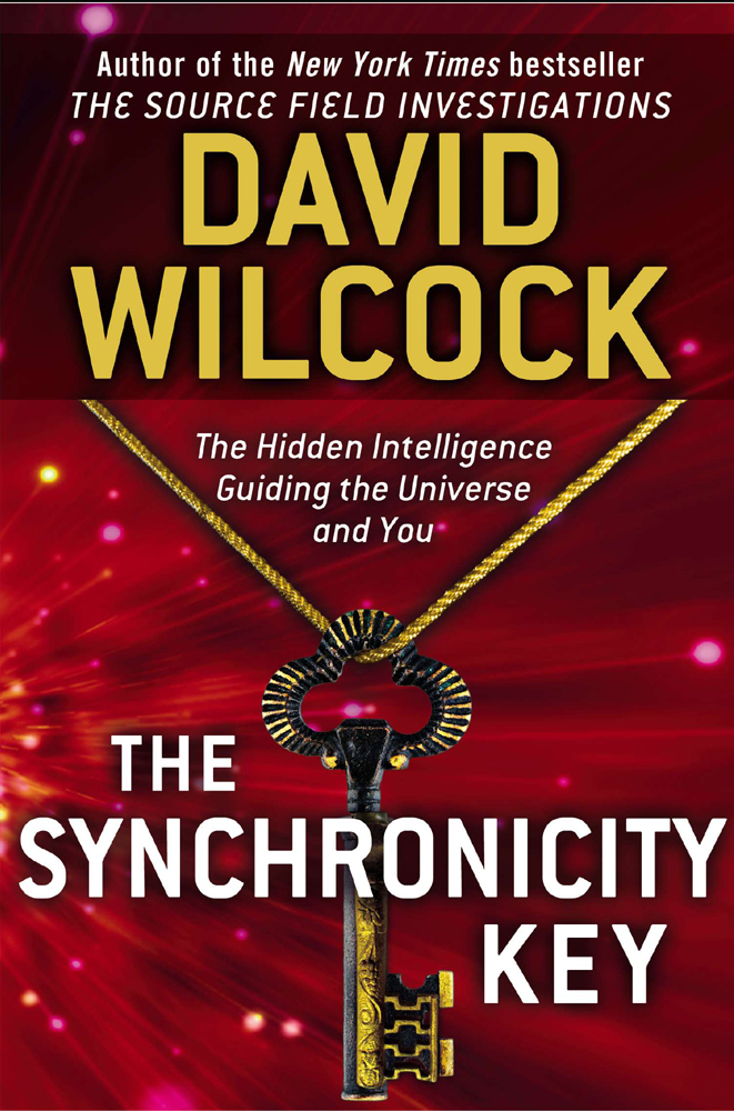 The Synchronicity Key The Hidden Intelligence Guiding the Universe and You - image 1