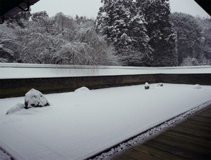 Ryan-ji snowstorm of 31 December 2010 INTRODUCTION T RANSFORMATIONS OF V - photo 5