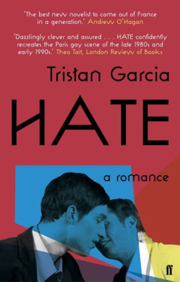 Tristan Garcia Hate: A Romance: A Novel