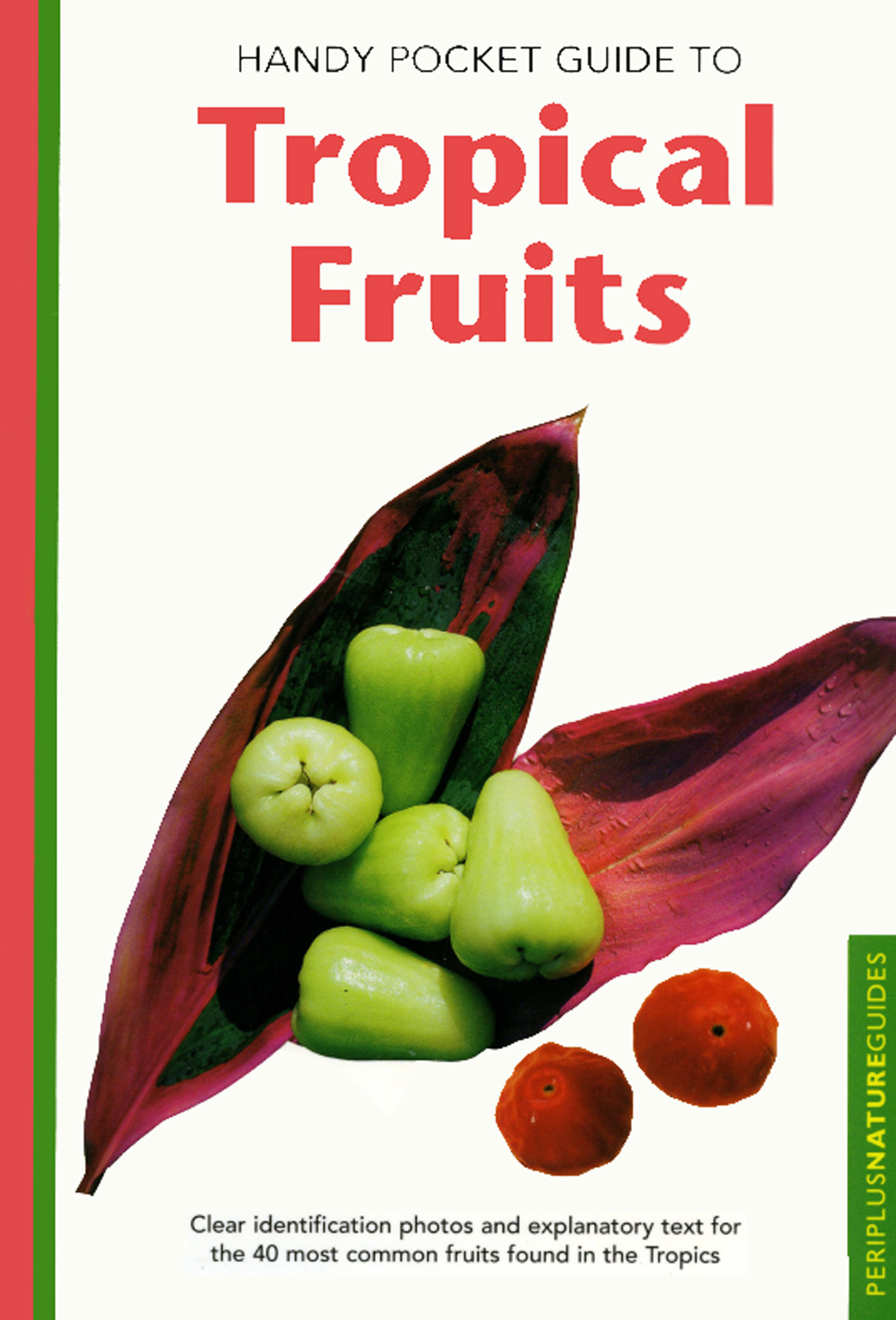 HANDY POCKET GUIDE TO THE Tropical Fruits Index Achras sapota - photo 2