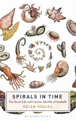 Helen Scales Spirals in Time: The Secret Life and Curious Afterlife of Seashells