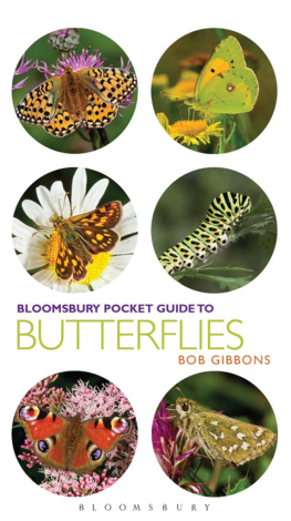 Bob Gibbons - Pocket Guide to Butterflies