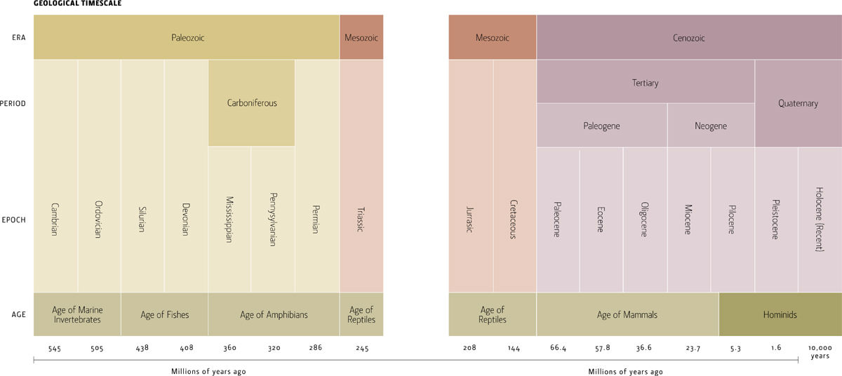 Our strategy here has been to view evolution from seven different perspectives - photo 2