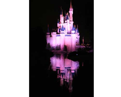 The happiest place on Earth Ill also provide everything youll need to know to - photo 9