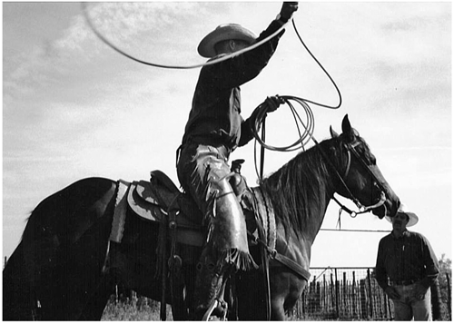 Youre not a real cowboy until you learn to lasso And I eventually got - photo 5