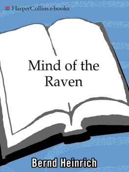 Bernd Heinrich - Mind of the Raven: Investigations and Adventures with Wolf-Birds