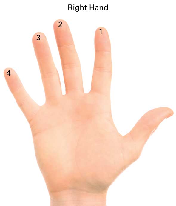 The first three fingers of the right hand are used to play notes bypressing - photo 12