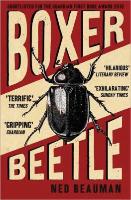 Ned Beauman Boxer, Beetle