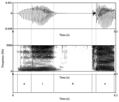 A geminate tt The time scale is 300ms 22 Secondary acoustic correlates - photo 3