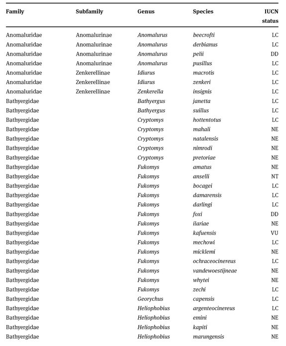 Rodents of Sub-Saharan Africa A Biogeographic and Taxonomic Synthesis - photo 2