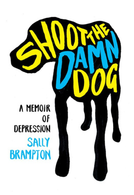 Sally Brampton - Shoot the Damn Dog: A Memoir of Depression