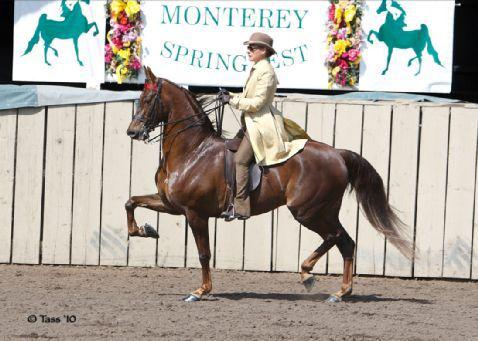 Photo by Tass Jones Photography Shelly Ingram is a third generation horsewoman - photo 1