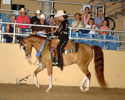 Photo courtesy of Jim Wright Horse Photography and Cantrell Arabians The - photo 3