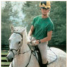 What Every Horse Should Know A Training Guide to Developing a Confident and Safe Horse - image 6