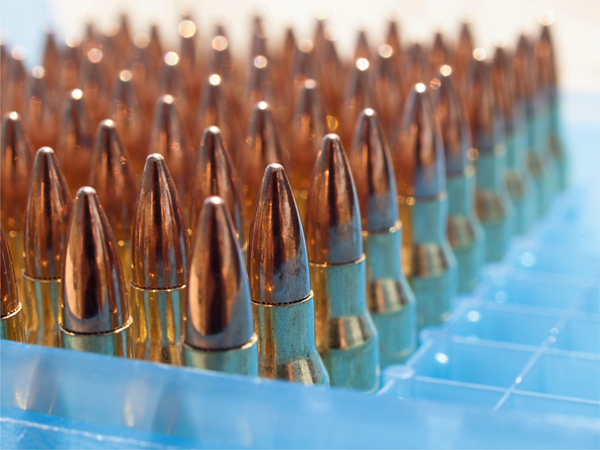 Truly we live in the golden age of ammo There are more calibers and cartridges - photo 4