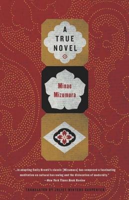 Minae Mizumura - A True Novel