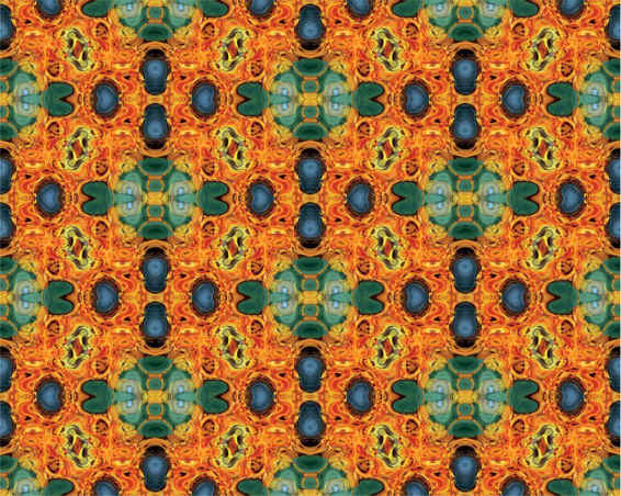 Figure 2 Created symmetry from a photograph of peppers and greens on a - photo 2