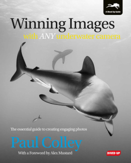 Paul Colley - Winning Images with Any Underwater Camera: The essential guide to creating engaging photos