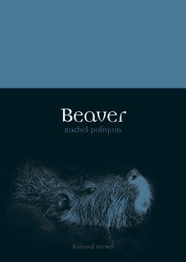 Rachel Poliquin - Beaver