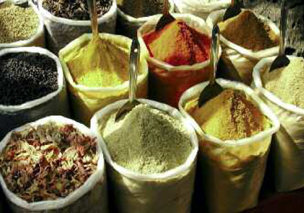 The extensive use of spices is the most characteristic feature of Indian - photo 5